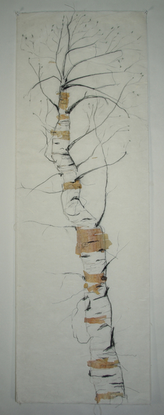 Birch Bark