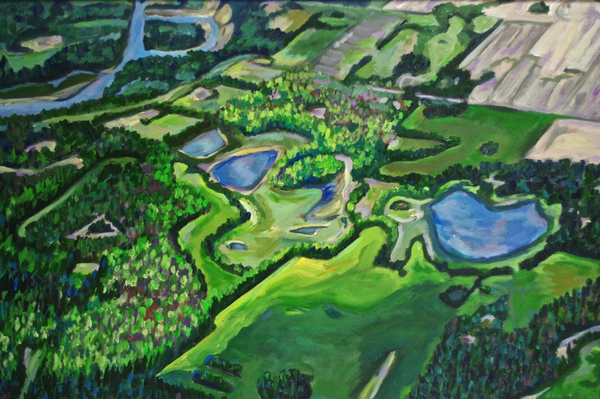 Bird's Eye View - Pools of Water