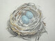 Birds Nest I