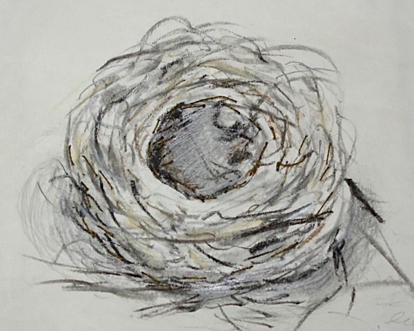 Empty Nest