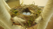 'Felted Nest'