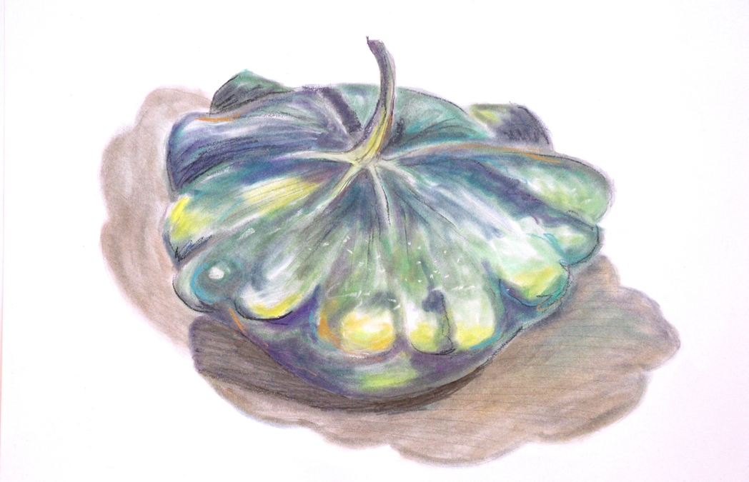 Patty Pan Squash