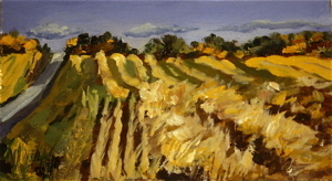 Plowed Fields