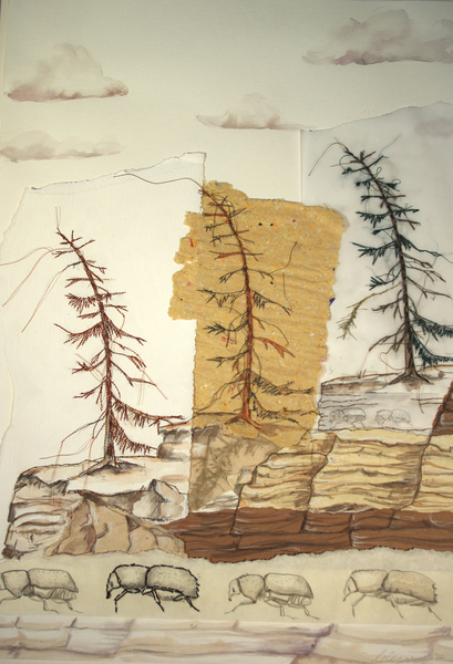 Portrait of a Dying Tree